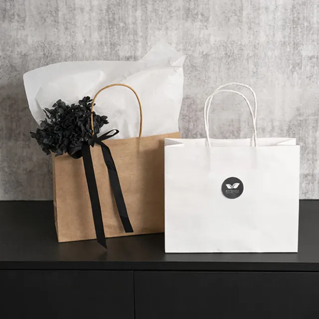 Kraft Paper Bag Boutique Med Brown Pk10 (220Wx80Gx180mmH)