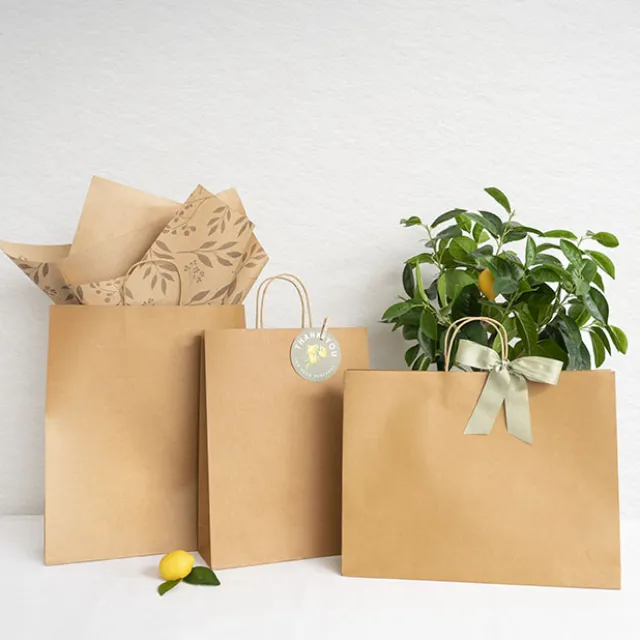 Kraft Paper Bag Boutique Jumbo Brown Pk10 (450Wx100Gx350mmH)