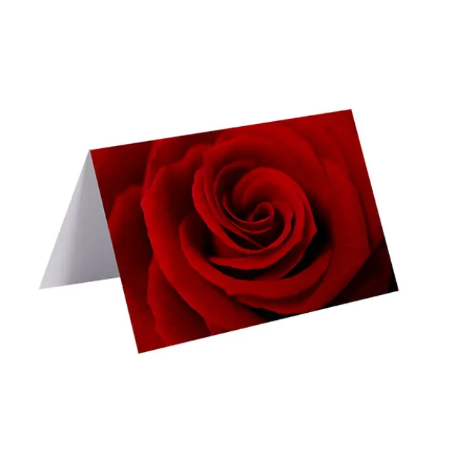 Gallery Gift Card & Envelope Full Red Rose Pk25 (10x6.5cmH)