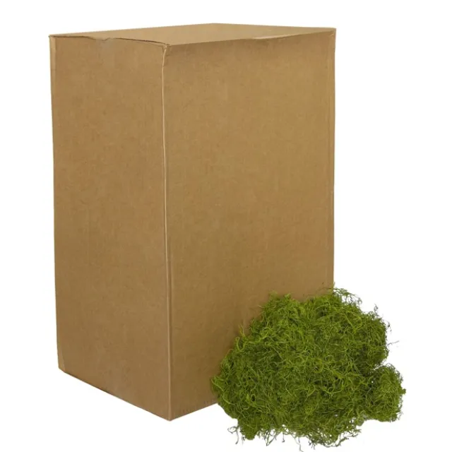 Spanish Moss Preserved Bulk Grass Green (4.55kg Box)