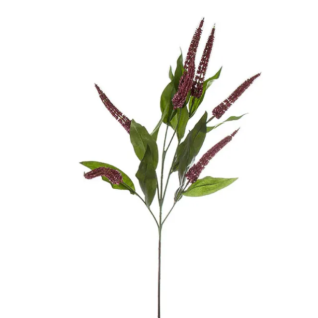 Cascara Berry Spray x7 Burgundy (84cmH)0