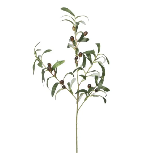 Olive Branch Spray Green (70cmH)