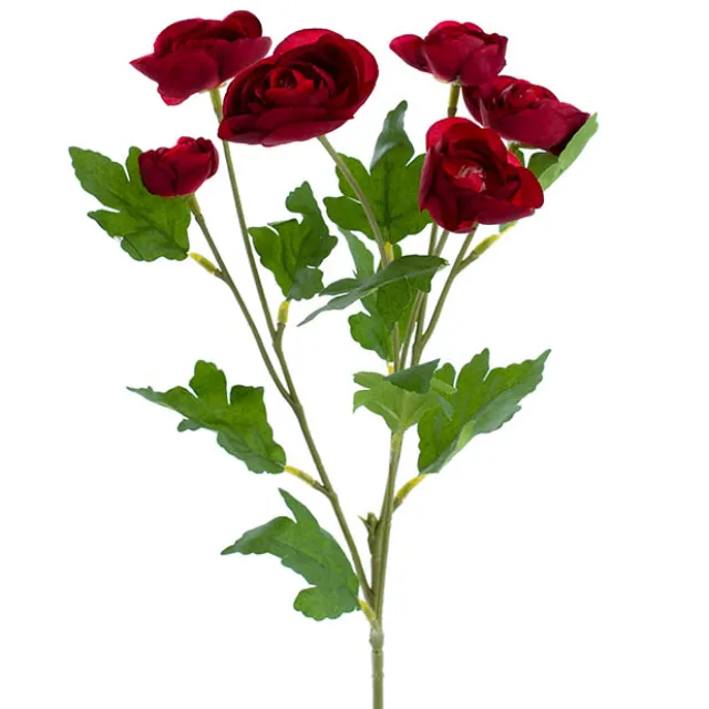 Mini Ranunculus Spray Red (67cmH)