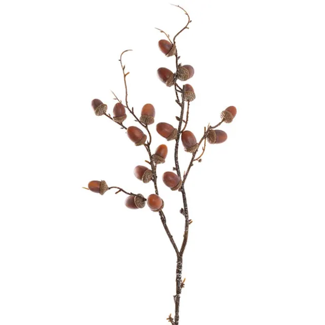 Acorn Branch Spray Brown (60cmH)