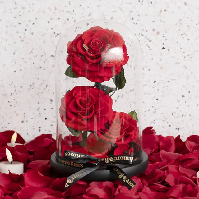 Amore Forever Rose 3 Stem Cloche Red (17x26cmH)