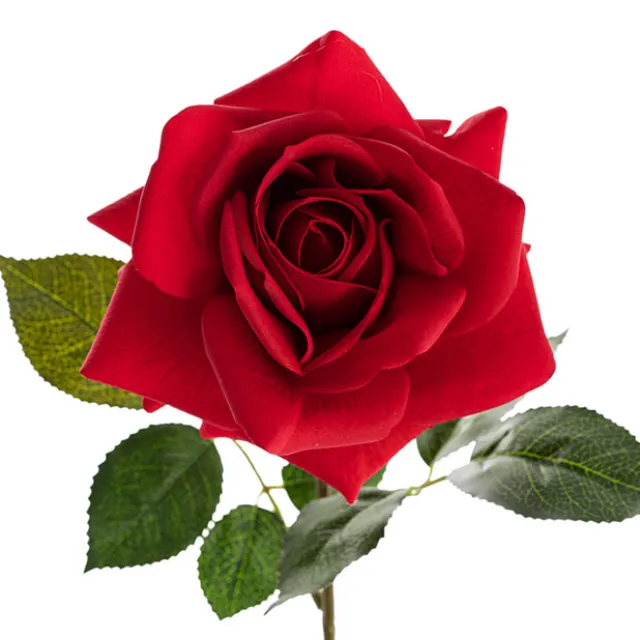 Bella Real Touch Rose Full Bloom Lge Red (12cmDx65cmH)