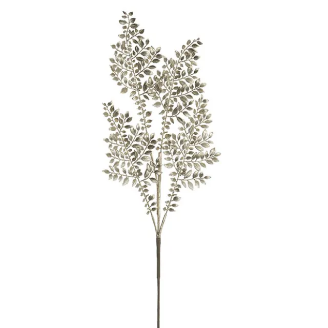 Boxwood Leaf Spray Champagne (83cmH)