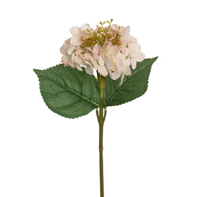 Budding Real Touch Hydrangea Stem Cream Peach (18cmDx70cmH)