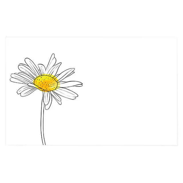 Cards White Hand Drawn Single Daisy (10x6.5cmH) Pack 50