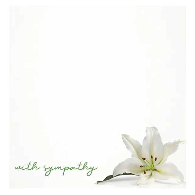 Cards White With Sympathy White Lily (10x10cmH) Pk 50