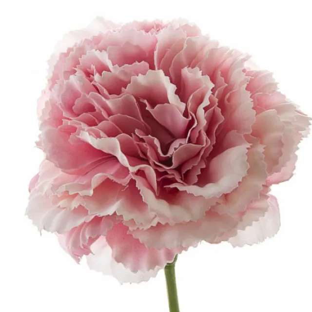 Carnation Ruffle Stem Light Pink (9cmDx42cmH)