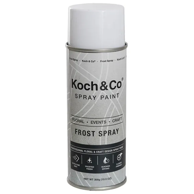 Floral Event Craft Spray Frost (300g)