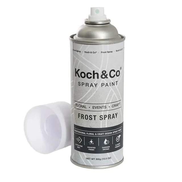 Floral Event Craft Spray Frost (300g)