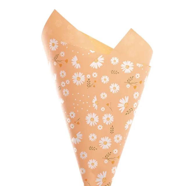 Cello Regal Pro 65mic Daisy Daze Nectar Pk100 (50x70cm)