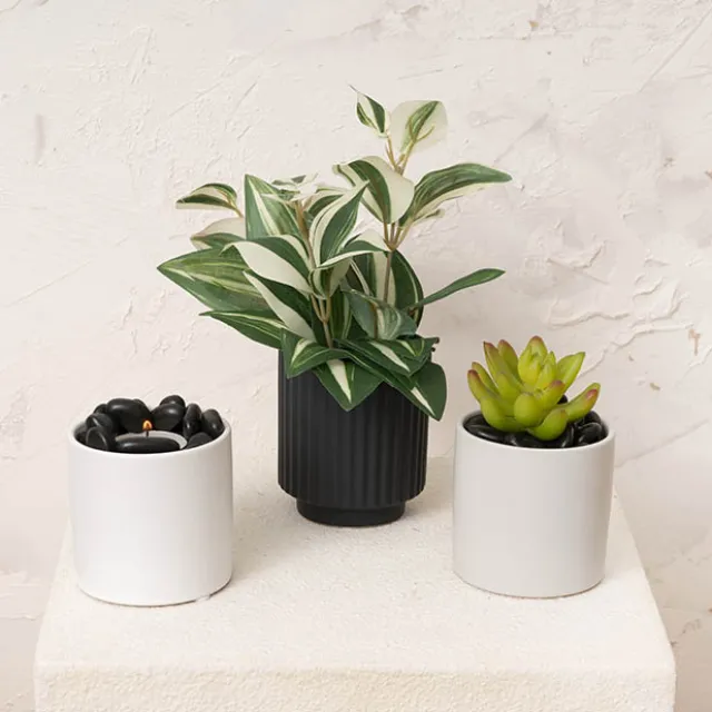 Ceramic Cylinder Pot Satin Matte White (8x8cmH)
