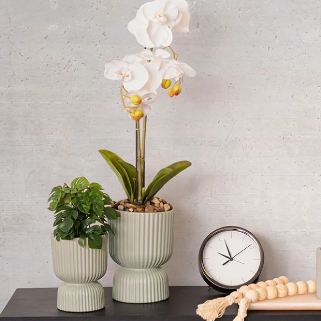 Ceramic Cyprus Egg Cup Vase Matte Sage (15Dx20cmH)