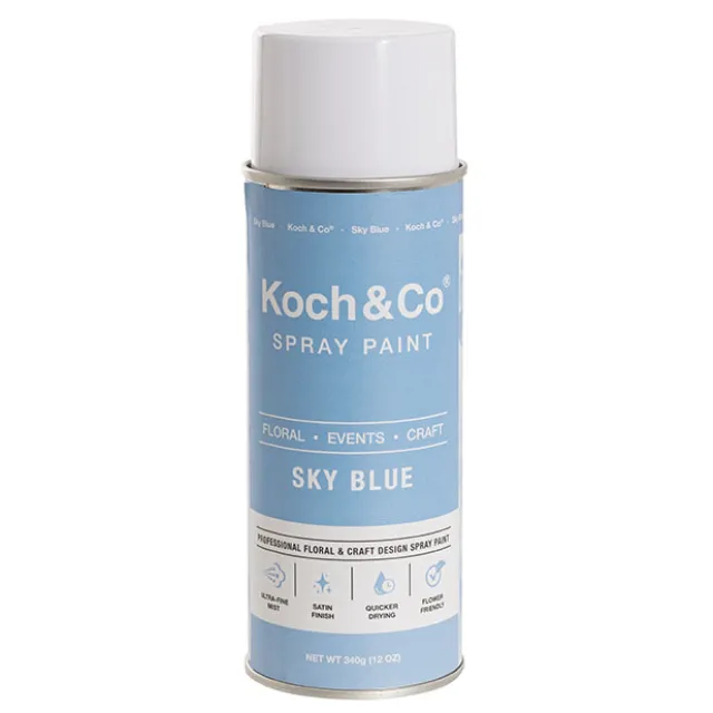 Floral Event Craft Spray Paint Sky Blue (340g)