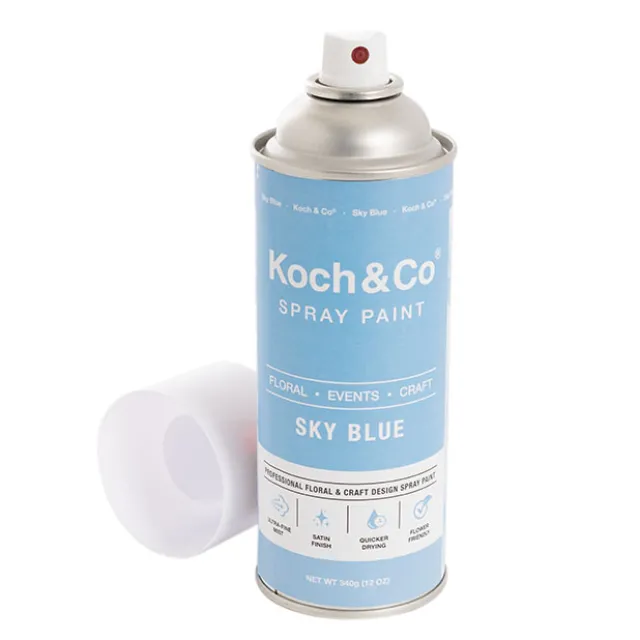 Floral Event Craft Spray Paint Sky Blue (340g)