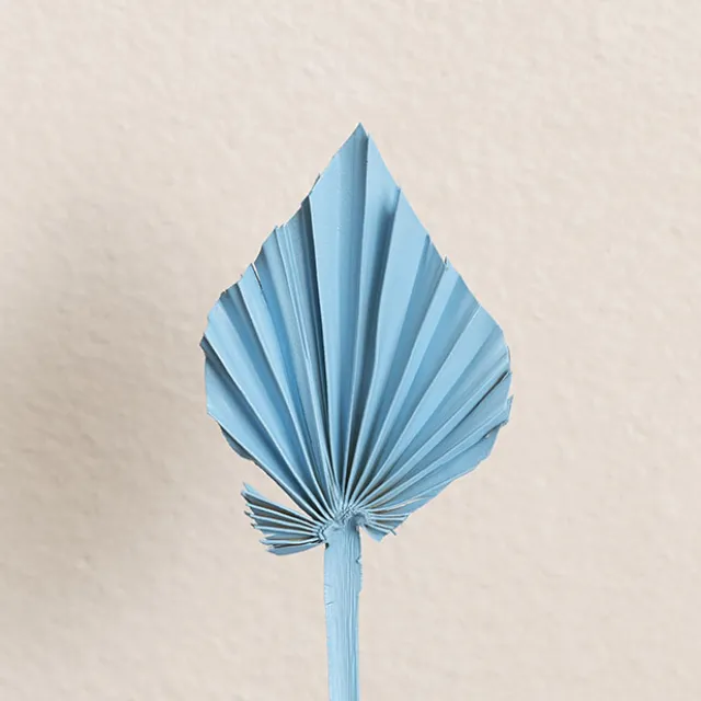 Floral Event Craft Spray Paint Sky Blue (340g)