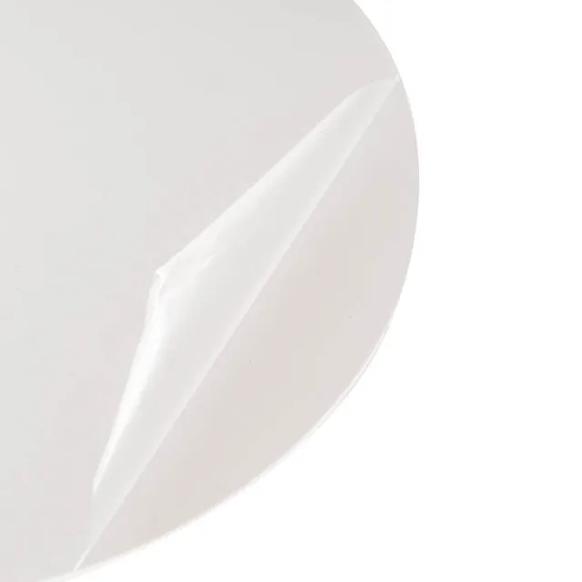 Clear Acrylic Plates Pack 2 (30cmDx0.03cmH)