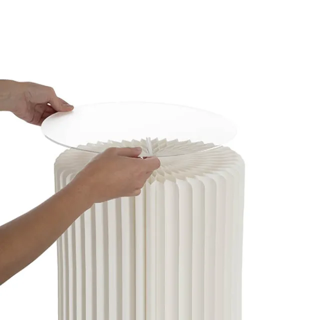 Clear Acrylic Plates Pack 2 (30cmDx0.03cmH)