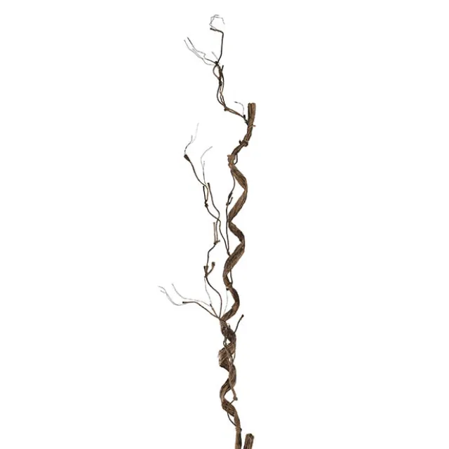 Curly Twig Vine Garland Brown (150cmL)