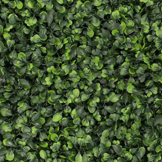 Greenery Wall UV Treated Boxwood Peanut Grass Green (1Mx1M)