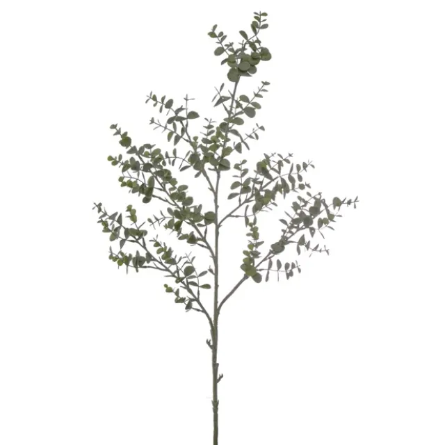Eucalyptus Mini Leaf Spray Green Grey (100cmH)