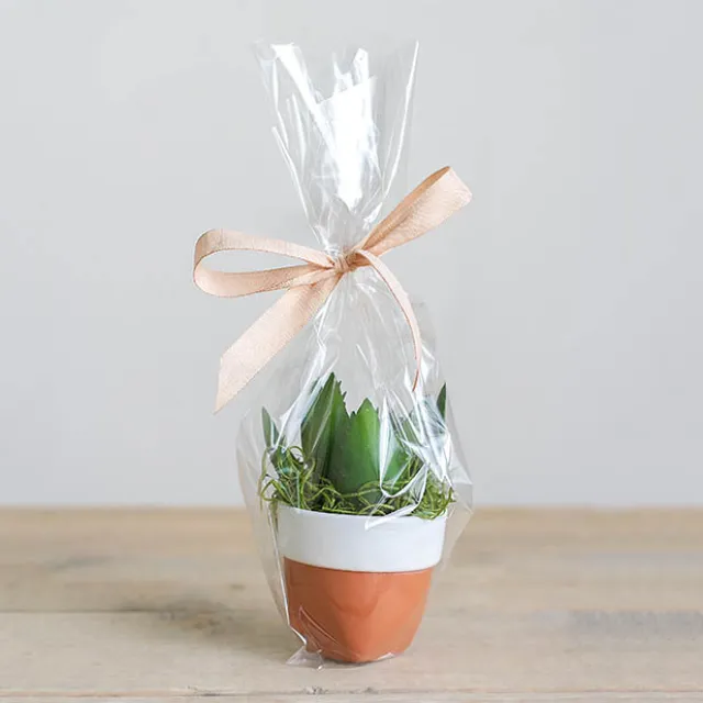 Cello Bag 48mic Pack 100 Clear (20.5x28.5cmH)