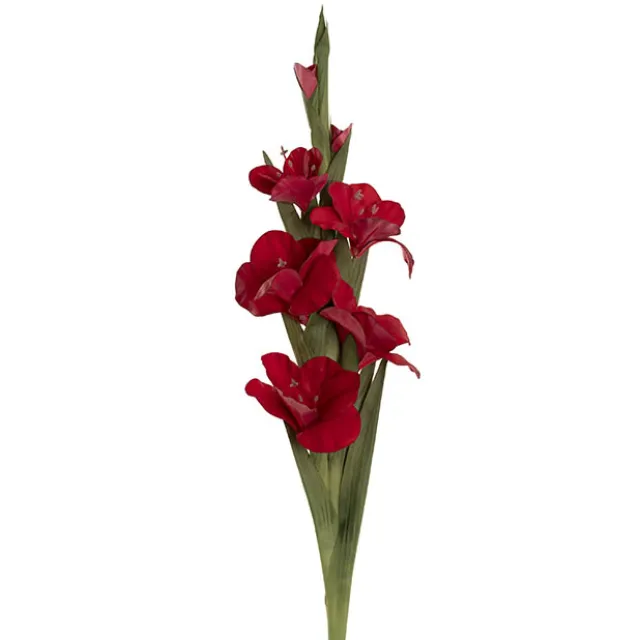 Real Touch Gladiolus x 5 Head Long Stem Red (82cmH)