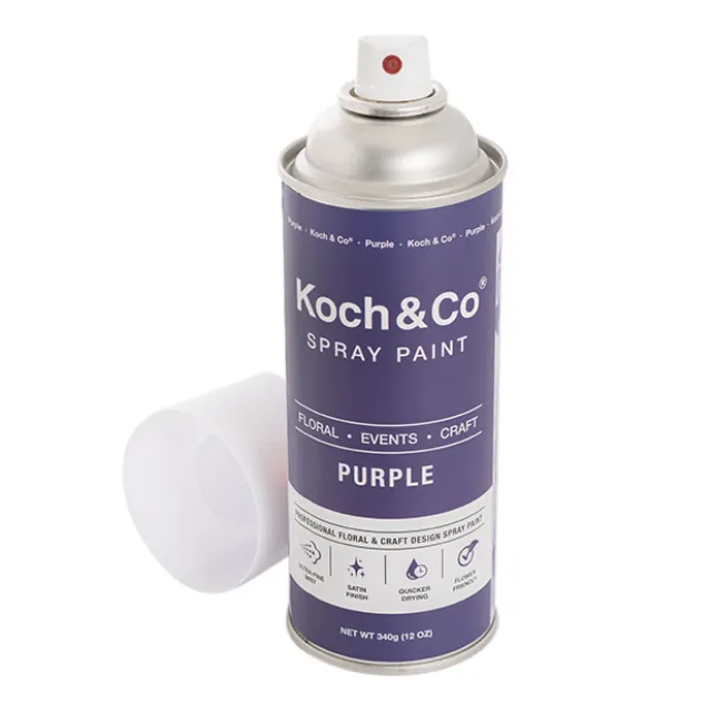 Floral Event Craft Spray Paint Purple (340g)