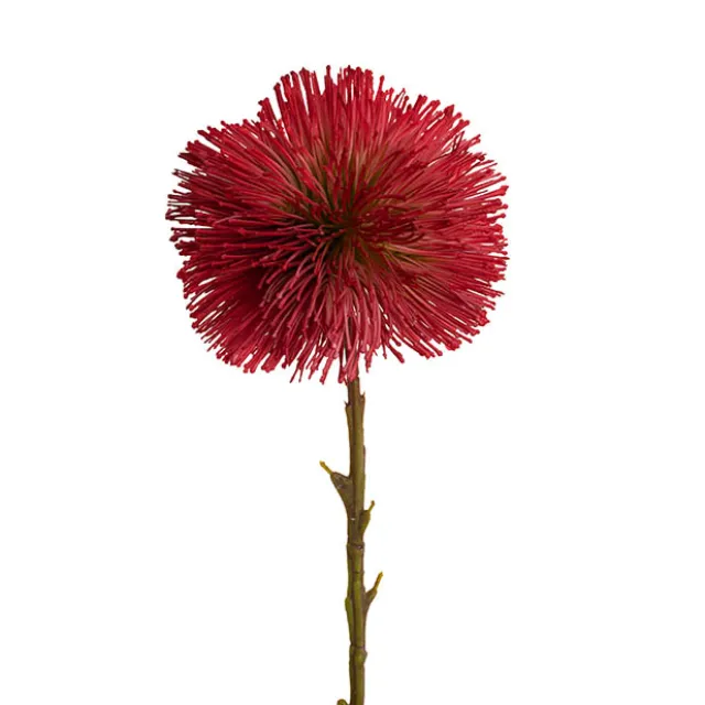 Onion Ball Stem Red (47cmH)