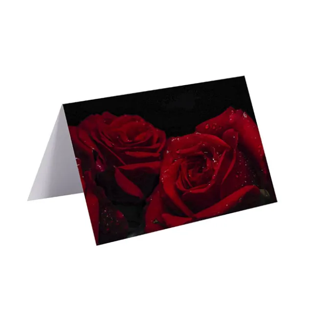 Gallery Gift Card & Envelope Deep Red Roses Pk25 (10x6.5cmH)