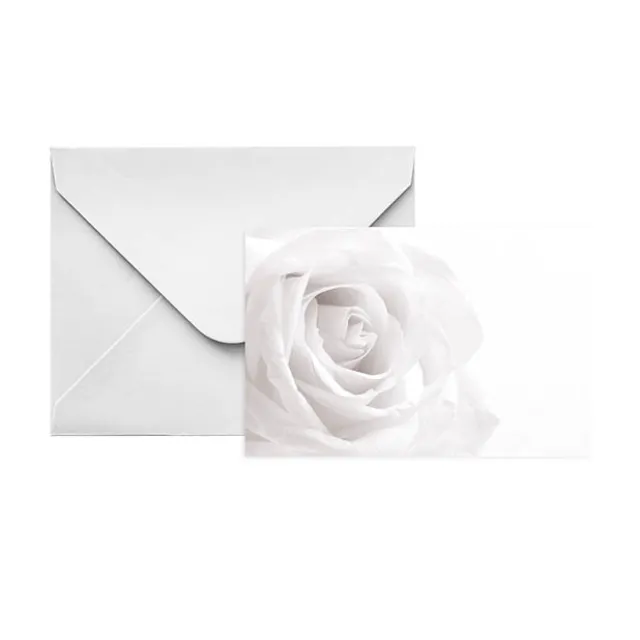 Gallery Gift Card & Envelope White Rose Pk25 (10x6.5cmH)