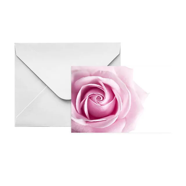 Gallery Gift Card & Envelope Pink Rose Pk25 (10x6.5cmH)