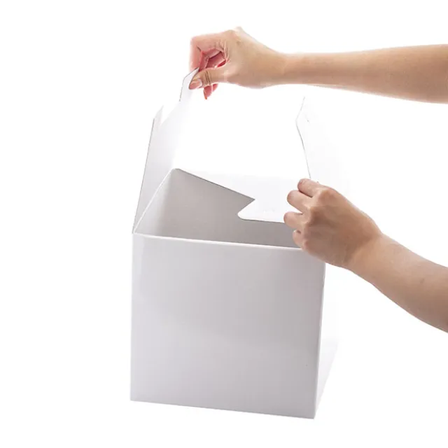 Gift Box Extra Lge with Bow Flat Pack White (250x250x245mmH)