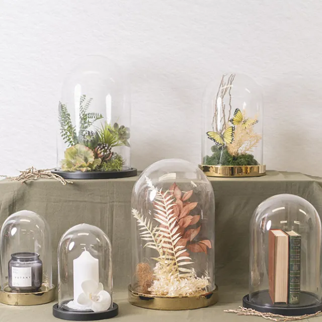 Glass Cloche Dome Terrarium Golden Base (16.5Dx27cmH)