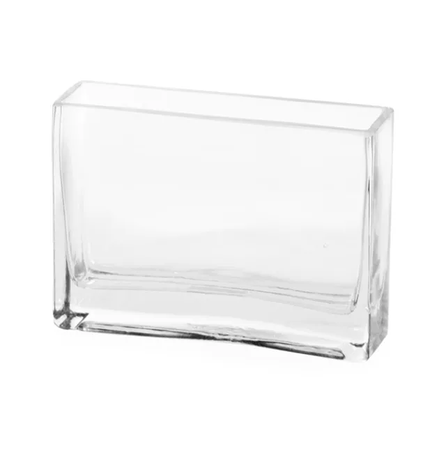 Glass Rectangle Vase Clear (6x18x12cmH)