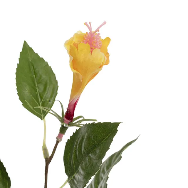 Hibiscus Flower x 2 Head Spray Yellow (11cmDx61cmH)