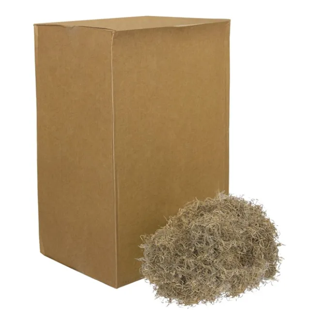 Spanish Moss Preserved Bulk Natural (4.55kg Box)