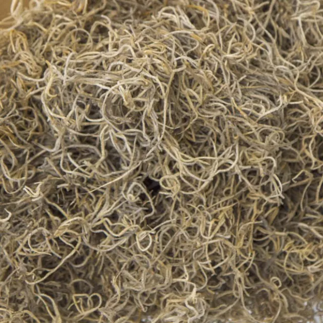 Spanish Moss Preserved Bulk Natural (4.55kg Box)