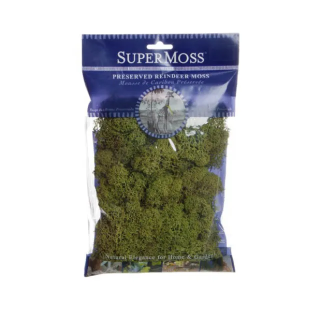 Reindeer Moss Preserved Bulk Moss Dark Green (225g Bag)