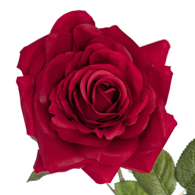 Large Colombian Rose Stem Red (20cmDx86cmH)