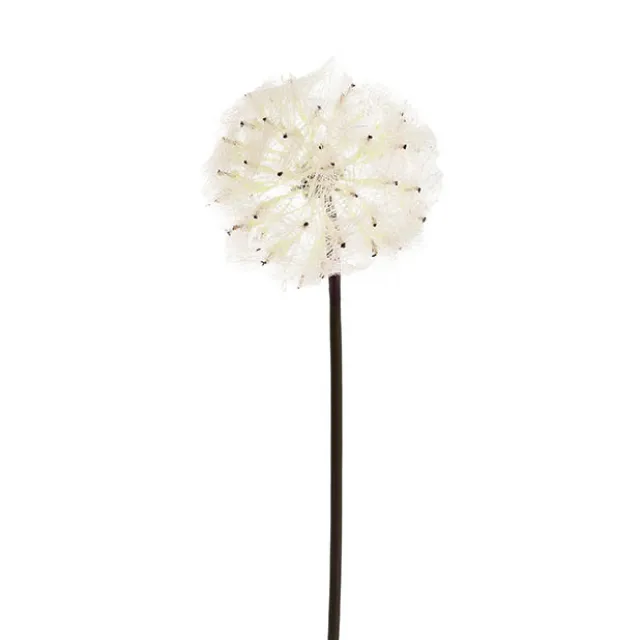 Large Dandelion Stem Soft Beige (12cmDx69cmH)