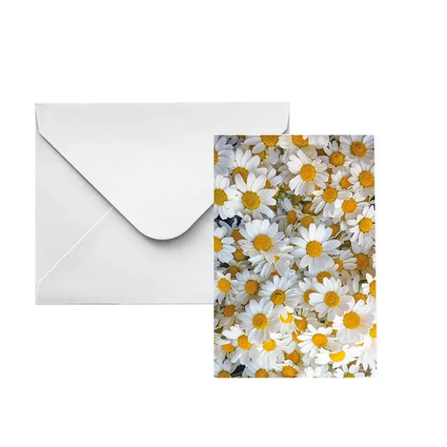 Classic Gift Card & Envelope Fresh Daisies Pk25 (6.5x10cmH)