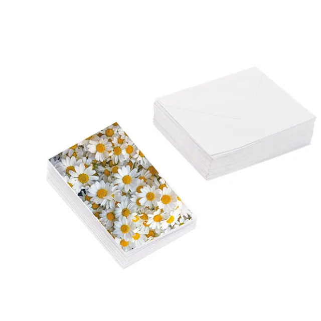 Classic Gift Card & Envelope Fresh Daisies Pk25 (6.5x10cmH)
