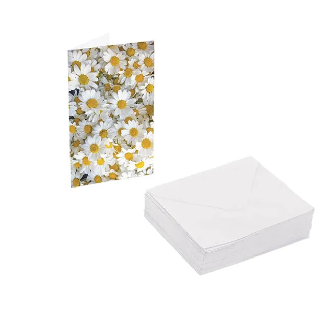Classic Gift Card & Envelope Fresh Daisies Pk25 (6.5x10cmH)