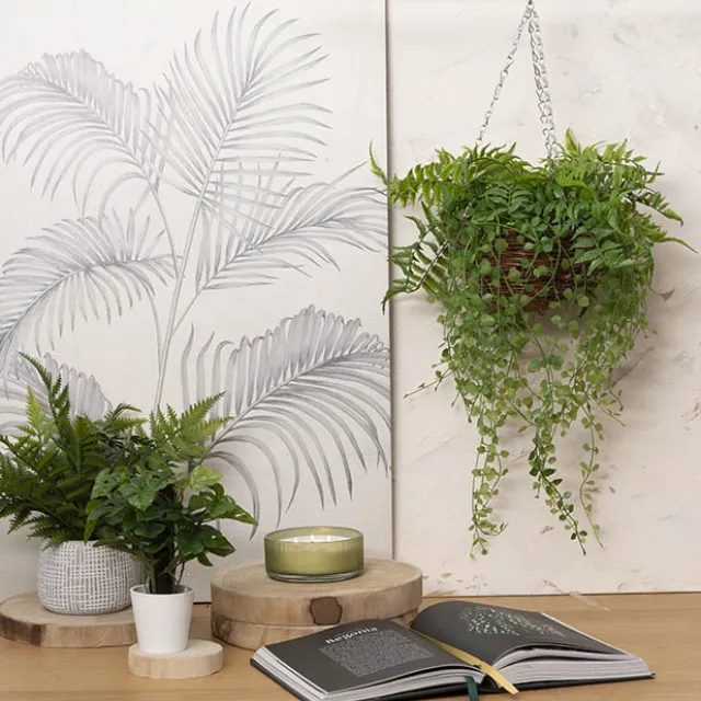 Mixed Fern Hanging Plant Basket Green (66cmH)