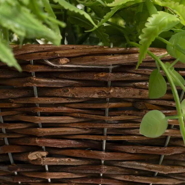Mixed Fern Hanging Plant Basket Green (66cmH)