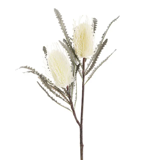 Real Touch Australian Banksia x 2 Head Spray Cream (80cmH)